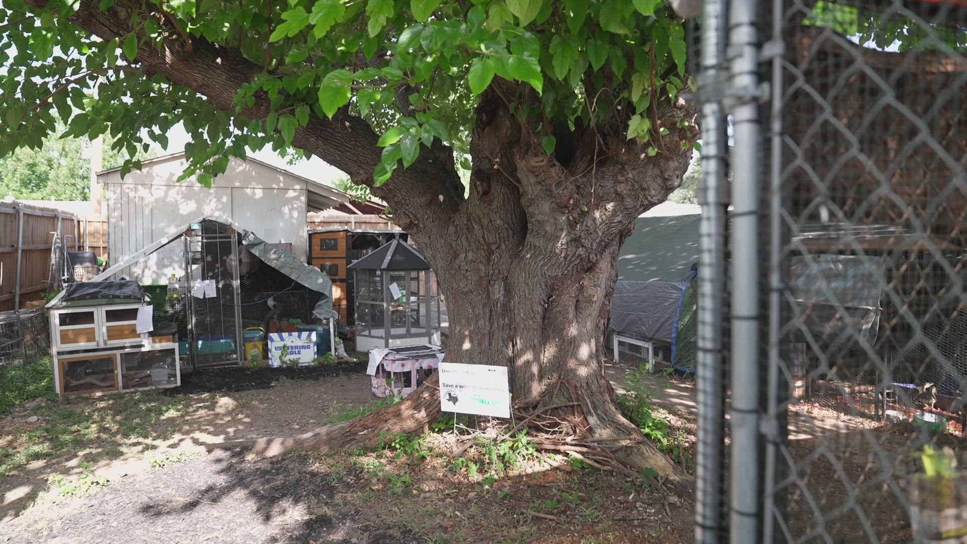 The city says it's violating zoning rules. 