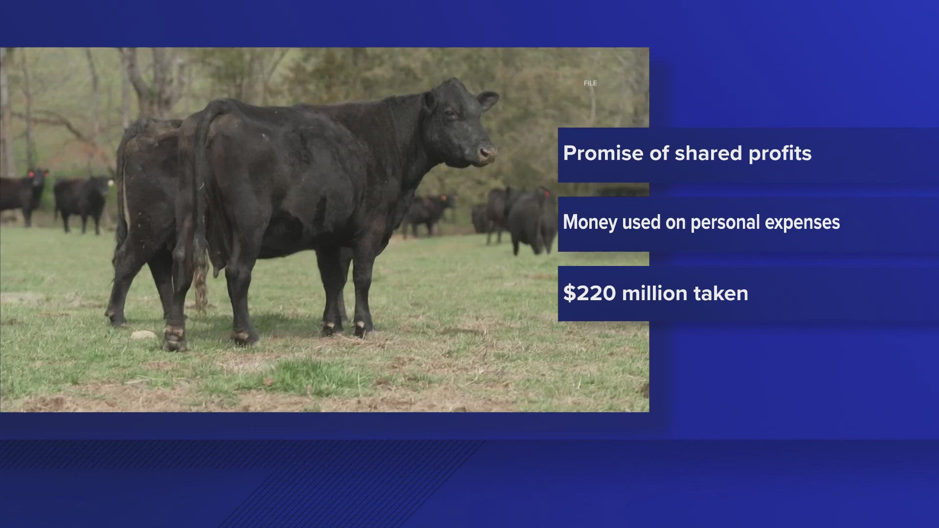 Fake Cattle They ran a Fort Worth cattle business. It was a $220 million fraud ...