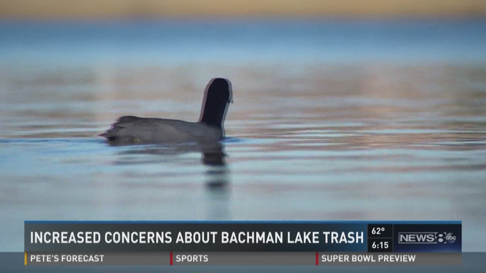 Increased concerns about Bachman Lake trash