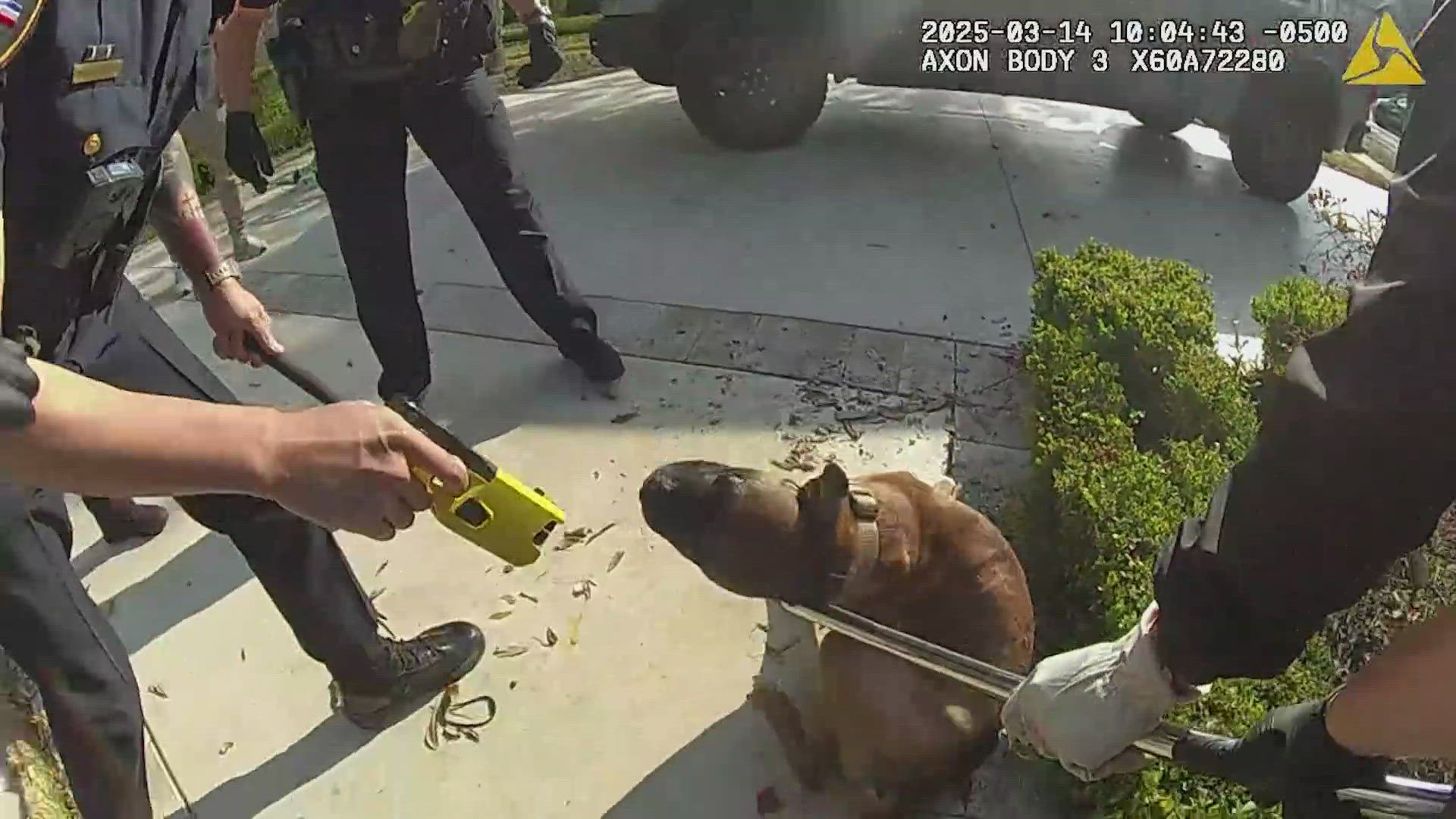 The Bachelor star, who lives in University Park with his wife Catherine, said he was recently attacked by his own dog. 