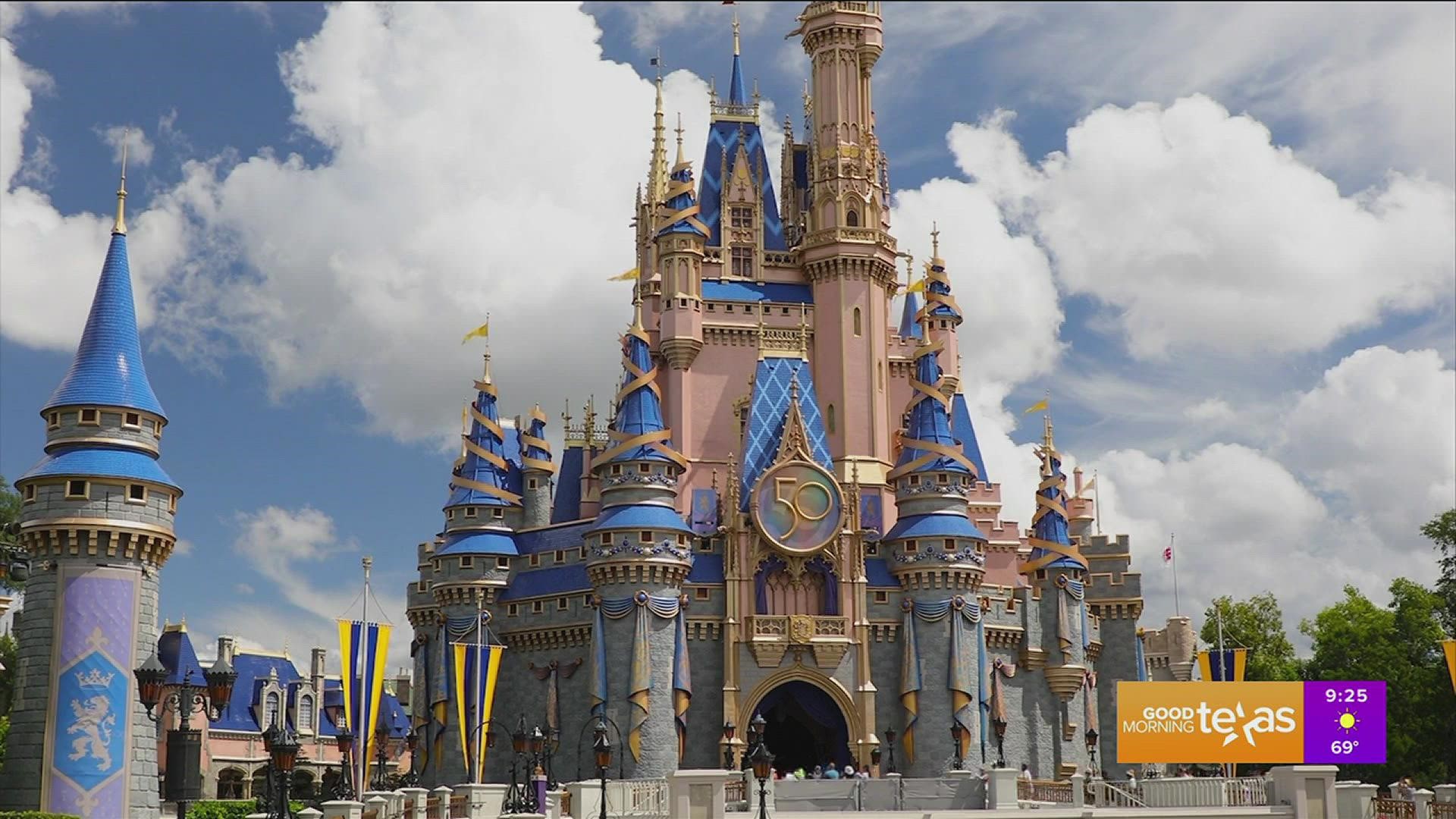 Disney Photo Album - Disney World 50th Anniversary - Castle