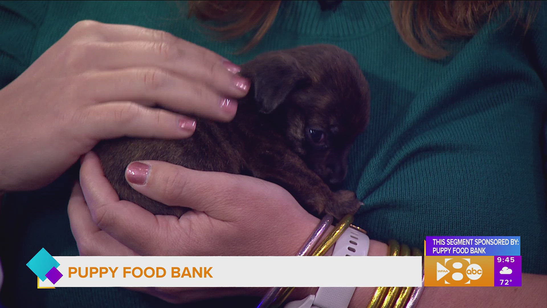 This segment is sponsored by Puppy Food Bank.