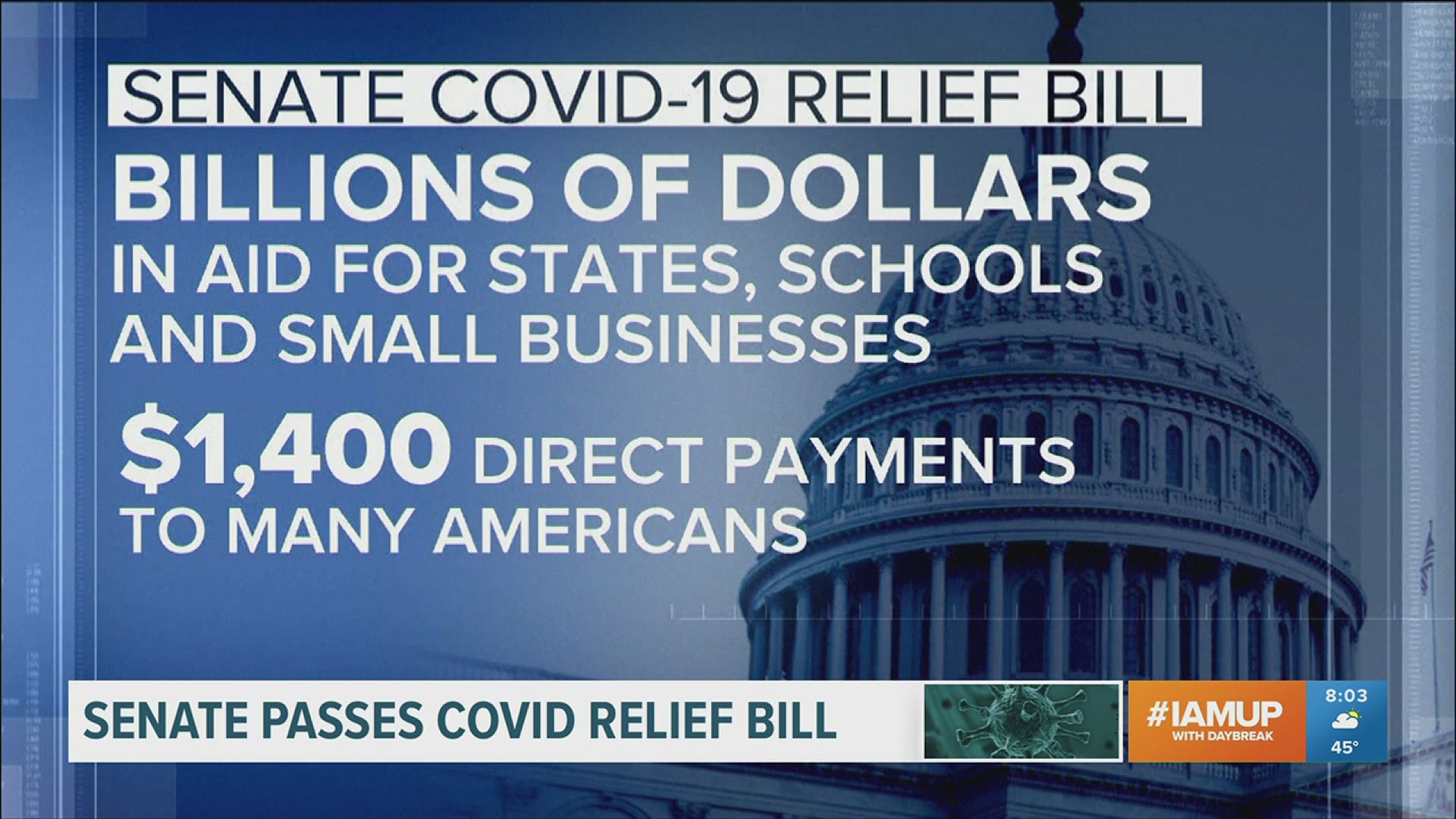 The Senate passed its own version of a massive COVID-19 relief bill, which is now back to the House to pass the revised version.