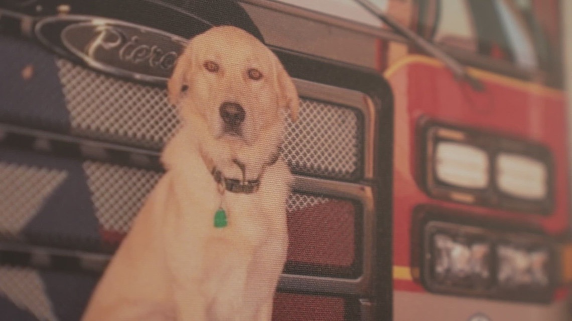 Riggs, beloved Midlothian firehouse dog, stuck and killed by vehicle