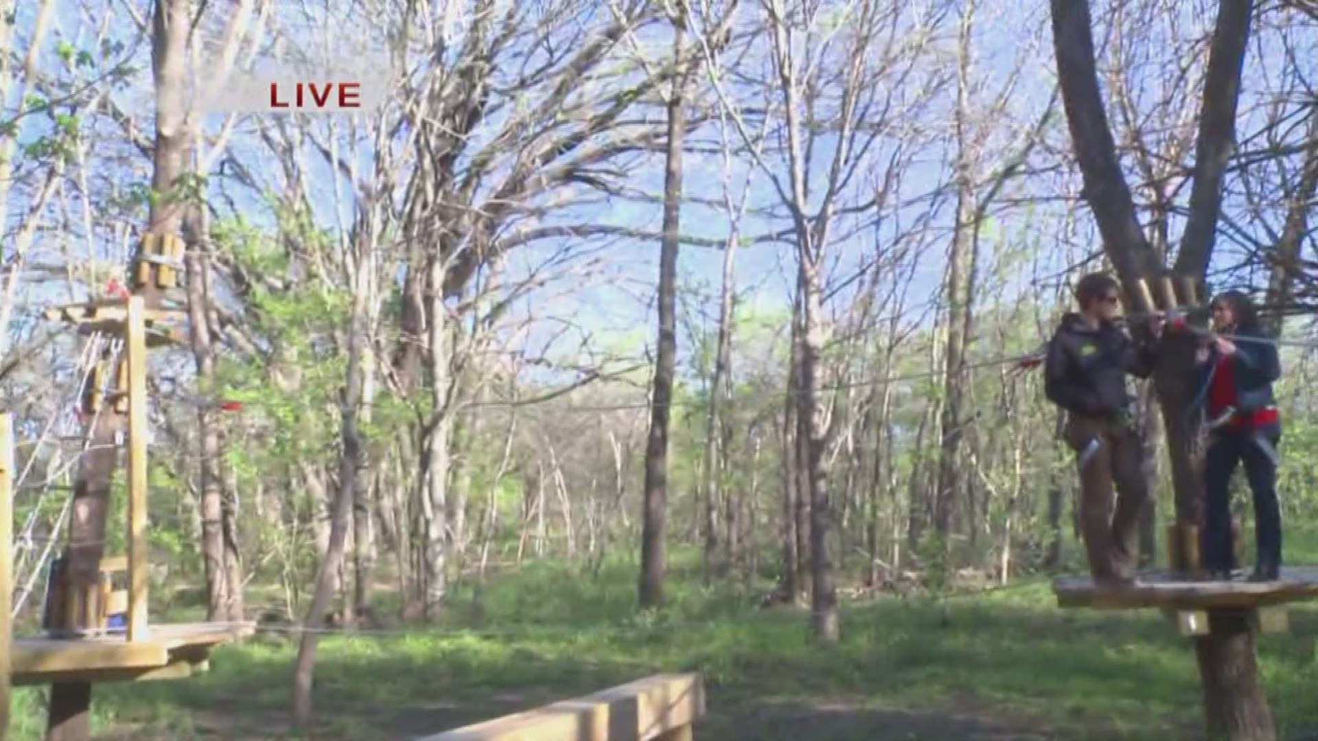 Check Out The New Go Ape Treetop Adventure In Plano Wfaa Com