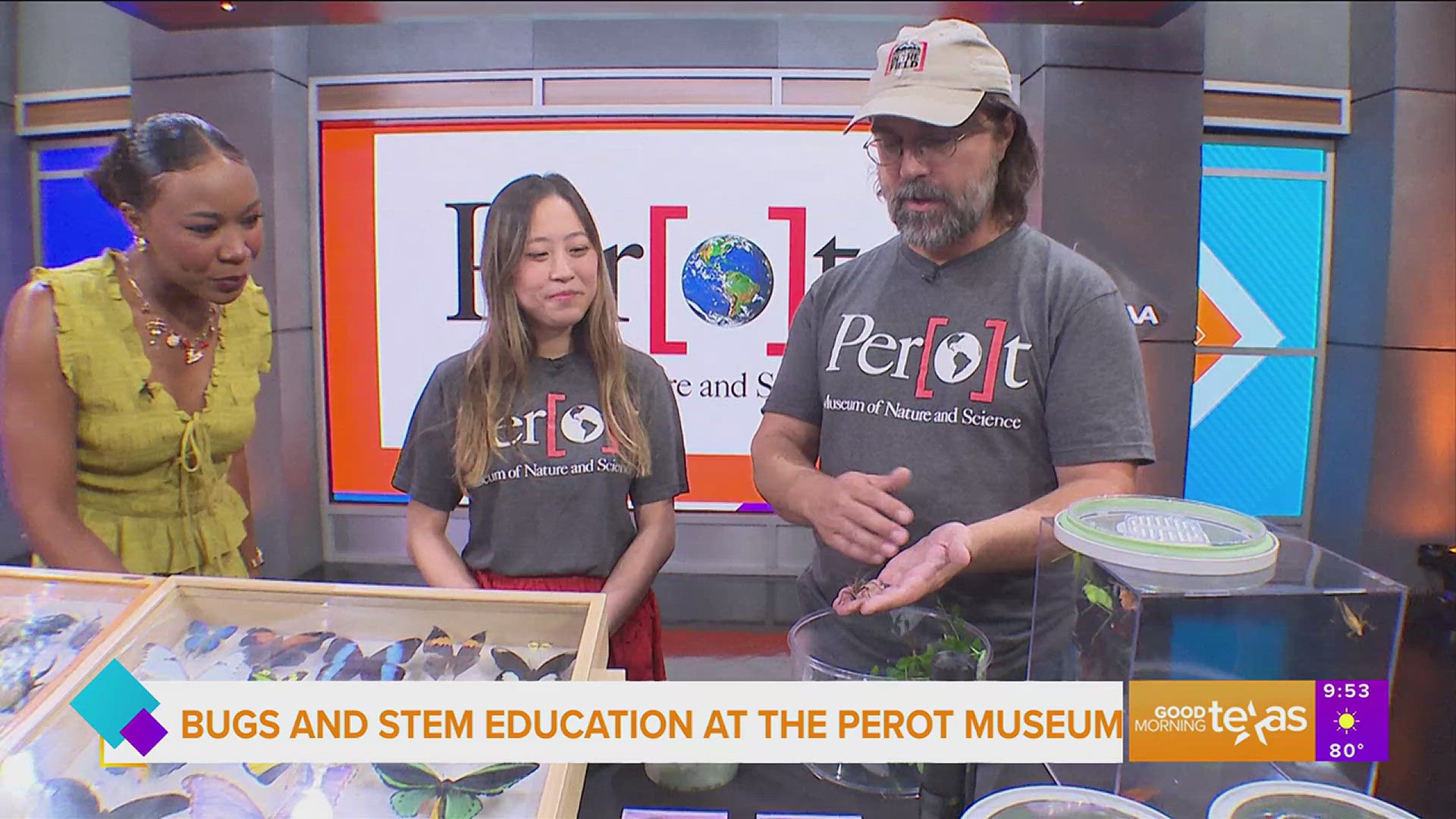 The Perot Museum of Nature and Science recently opened a new exhibition titled Bug Lab.