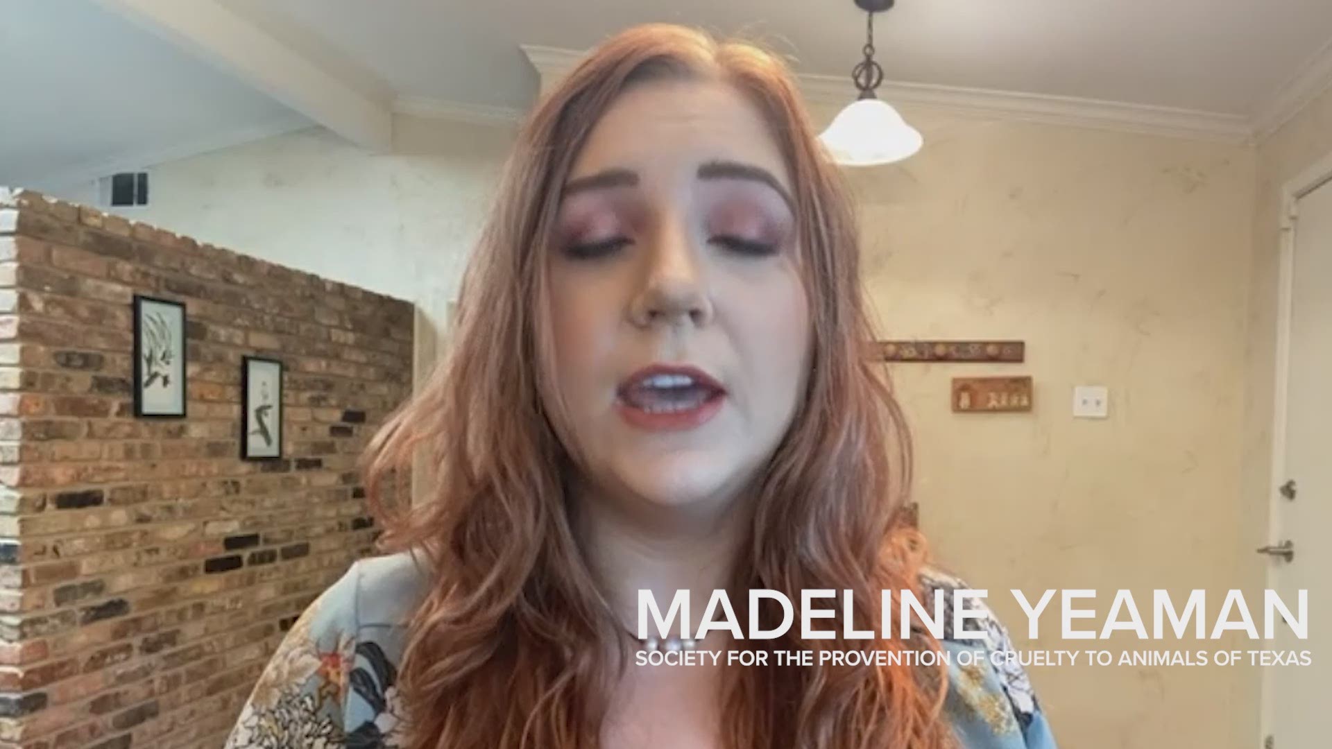 Madeline Yeaman works for the Society for the Prevention of Cruelty to Animals of Texas. She explains why fostering can give animals more focused care.