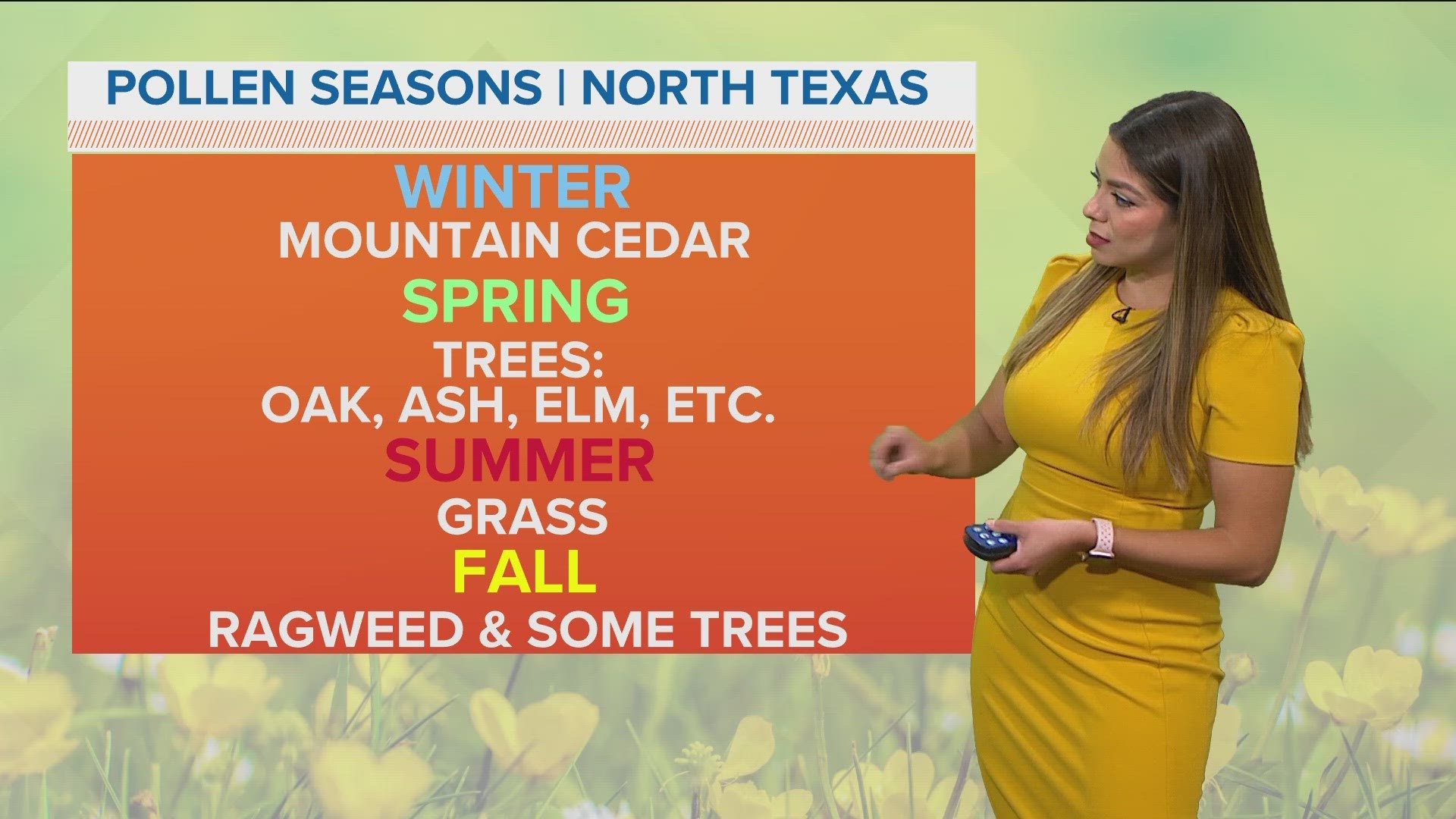 DFW Weather Pollen seasons in North Texas