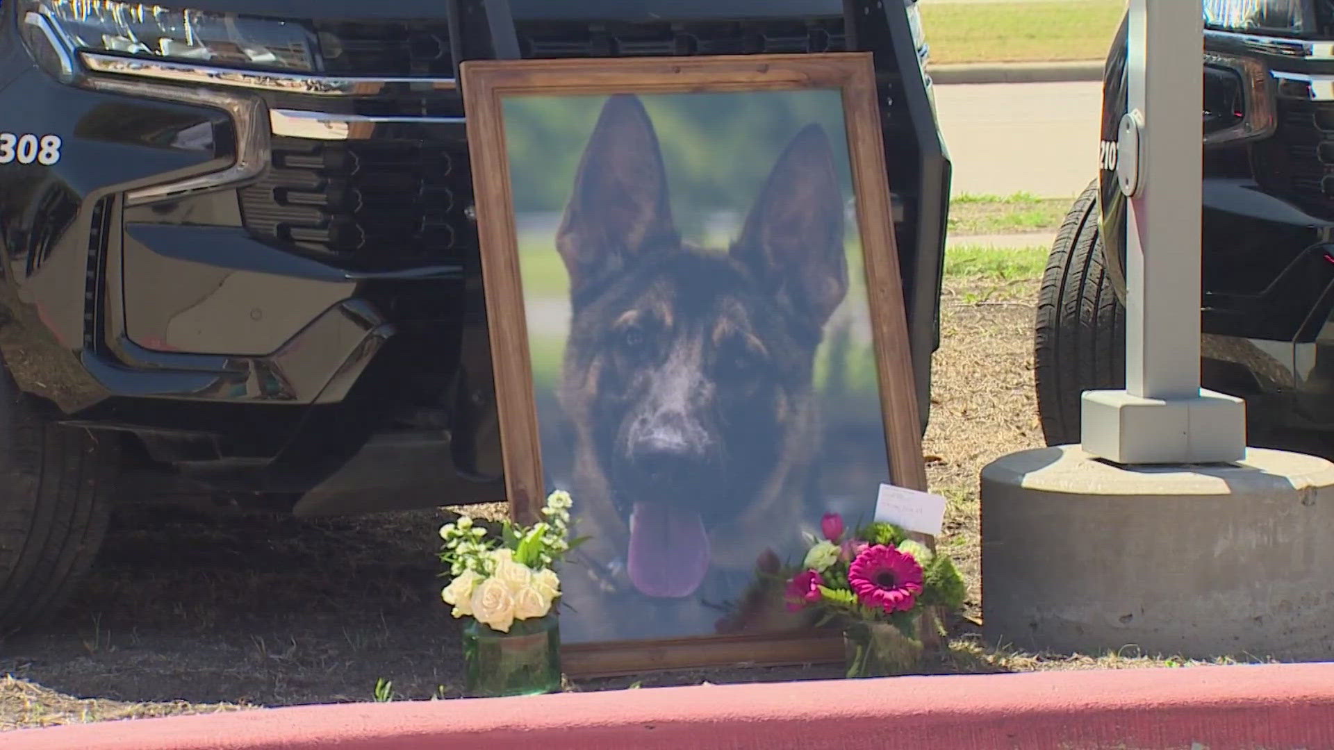 McKinney Police K9 honored with funeral | wfaa.com