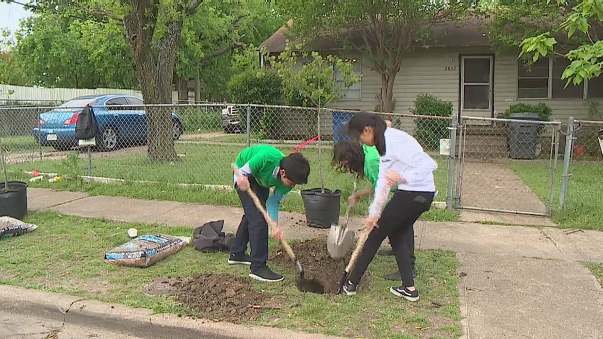 The Trust for Public Land, Texas Trees Foundation and The Nature Conservancy are trying to lessen Dallas' "urban heat island."