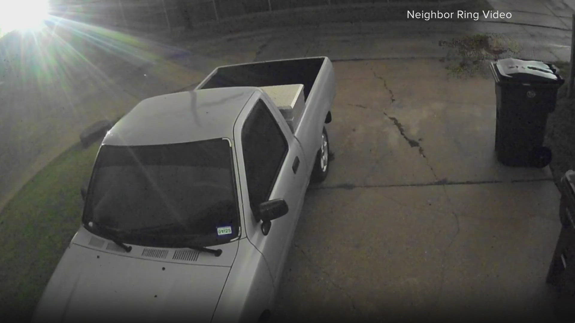 The cat was caught on a ring camera in a Collin County neighborhood, officials confirmed.