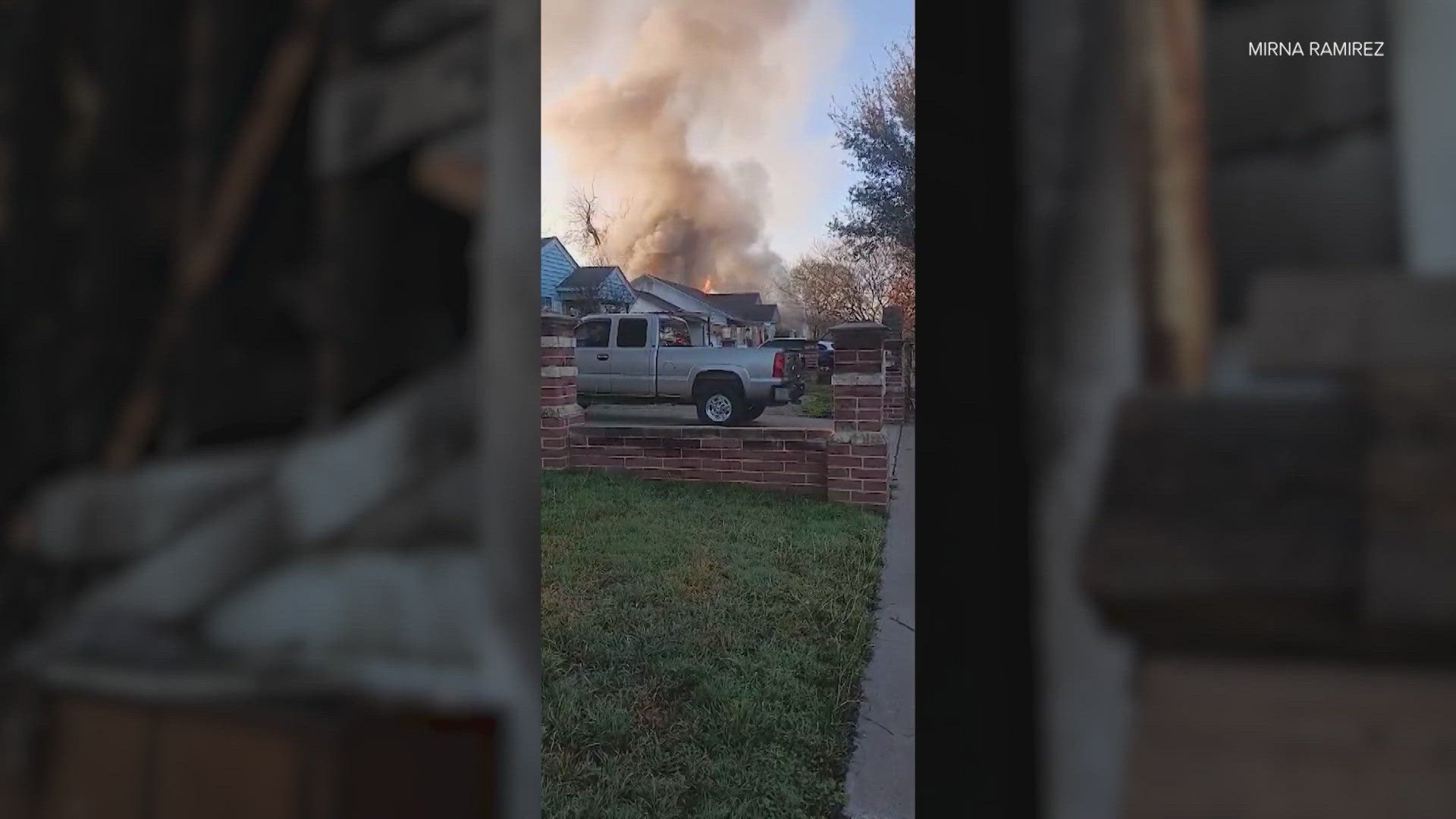 Fort Worth family heartbroken after their puppies were killed in a ...