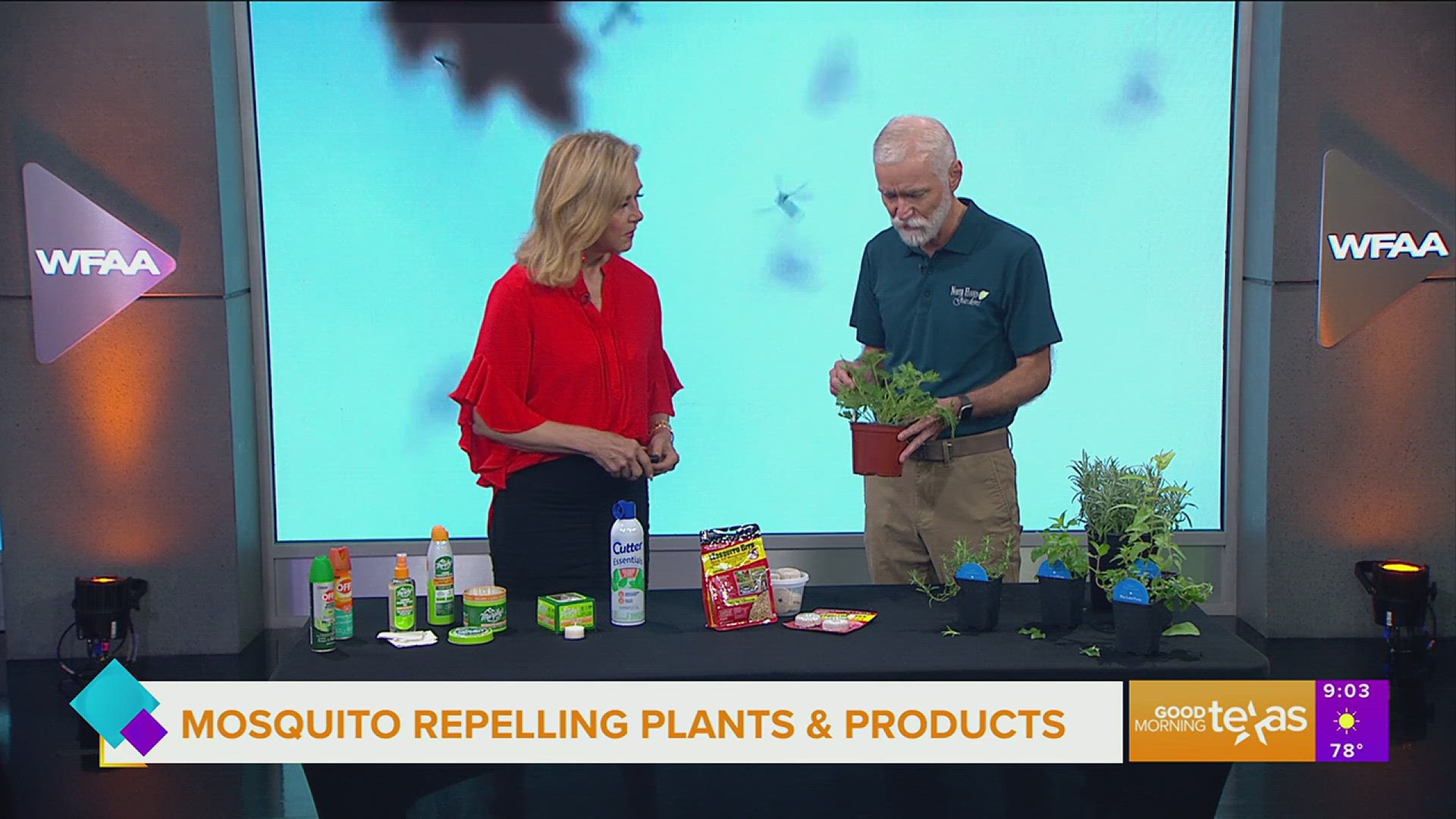 Rusty Allen of North Haven Gardens in Dallas shares some natural ways to keep mosquitoes at bay this summer.