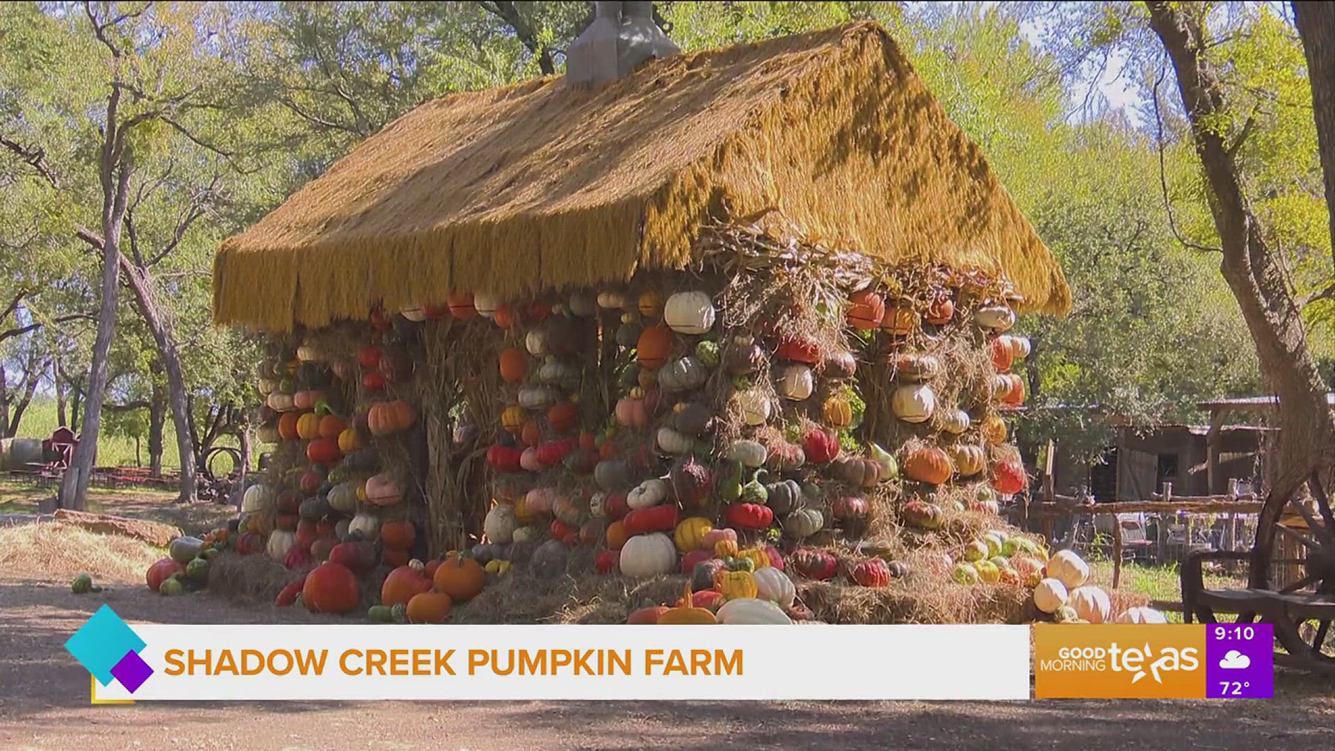 Erin introduces us to the family behind Shadow Creek Pumpkin Farm. Go to shadowcreekpumpkinfarm.com for more information.