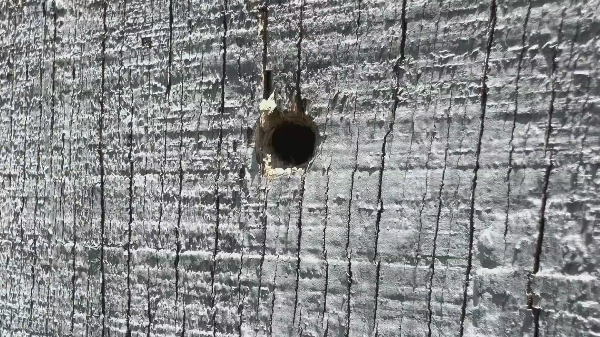 Fort Worth community member Christopher Hernandez showed WFAA a bullet hole that was found on the side of his home near the scene.