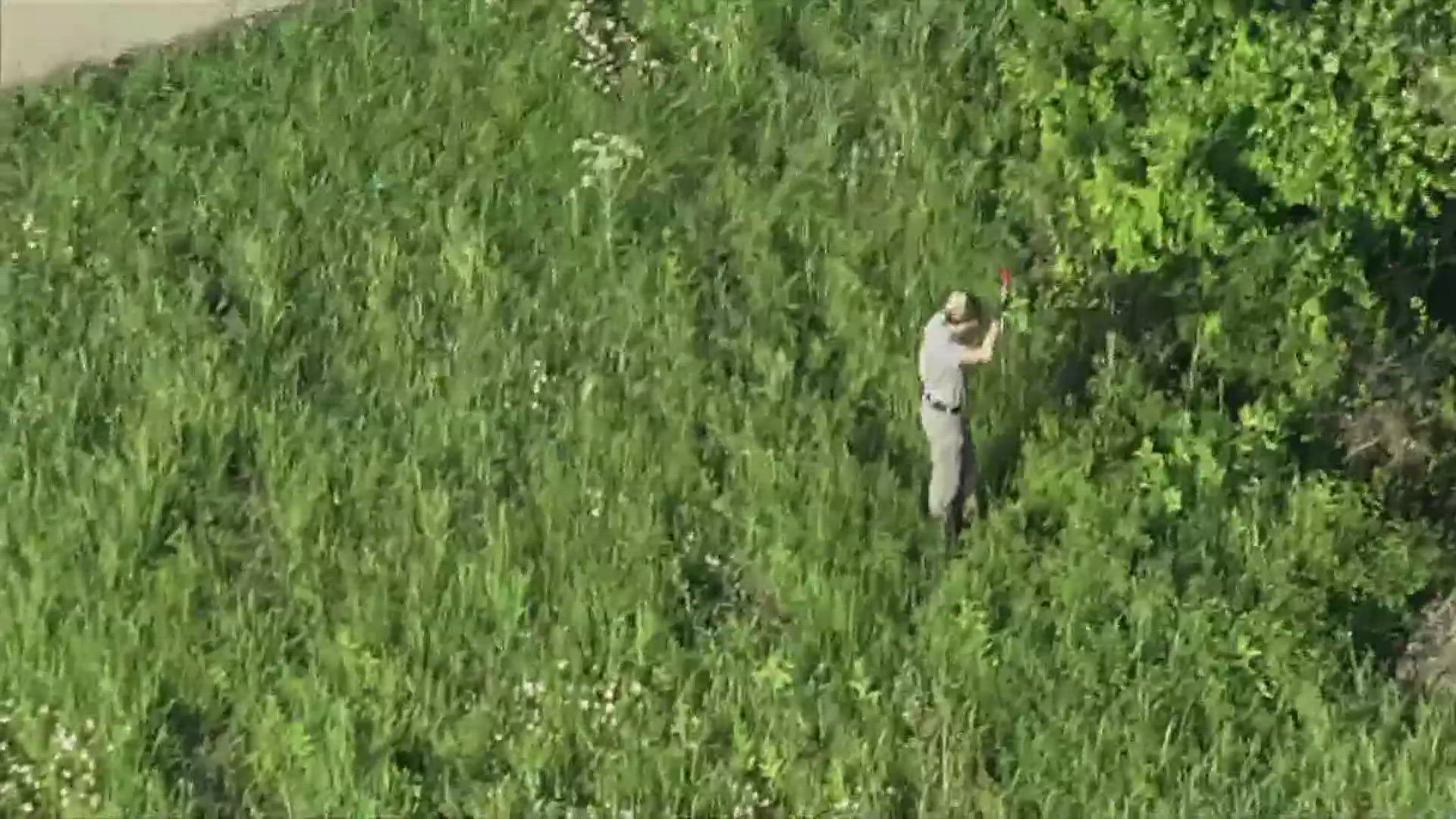 Officials are working to determine if they are connected to a missing persons case out of Parker County.