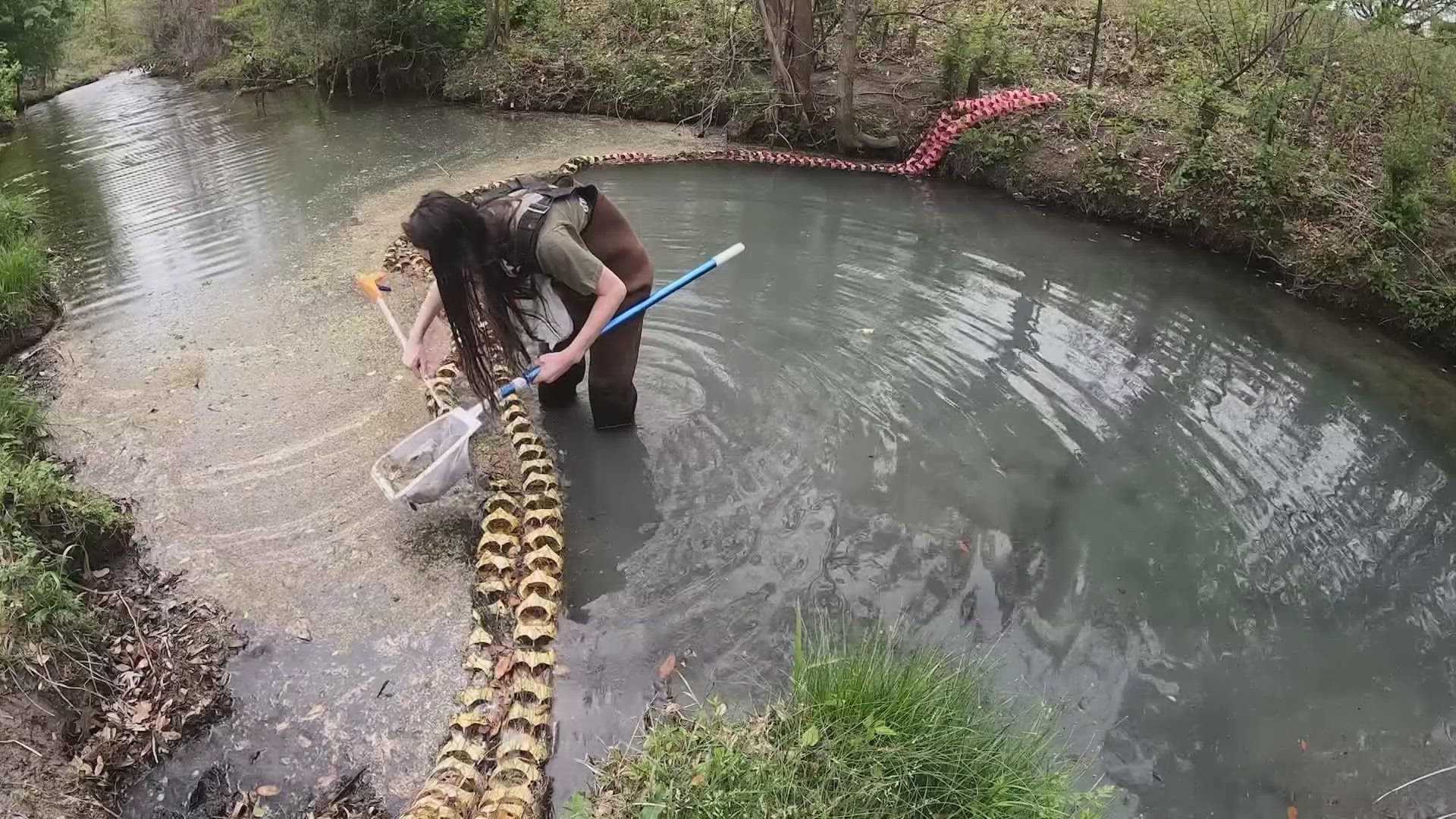 It's part of a pilot project in Collin County, using recycled pool floats to catch litter in waterways