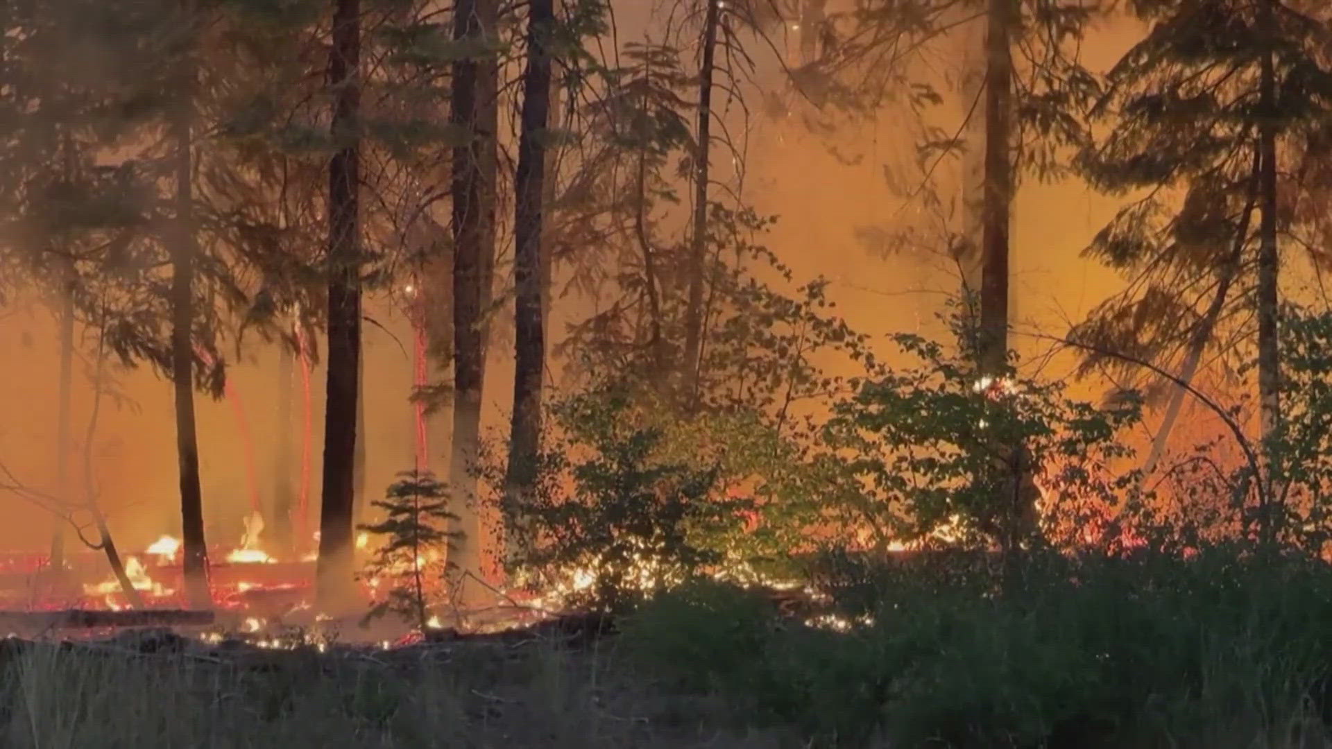 At last checked the Park Fire has consumed nearly 560 square miles, which is nearly double the size of Dallas.