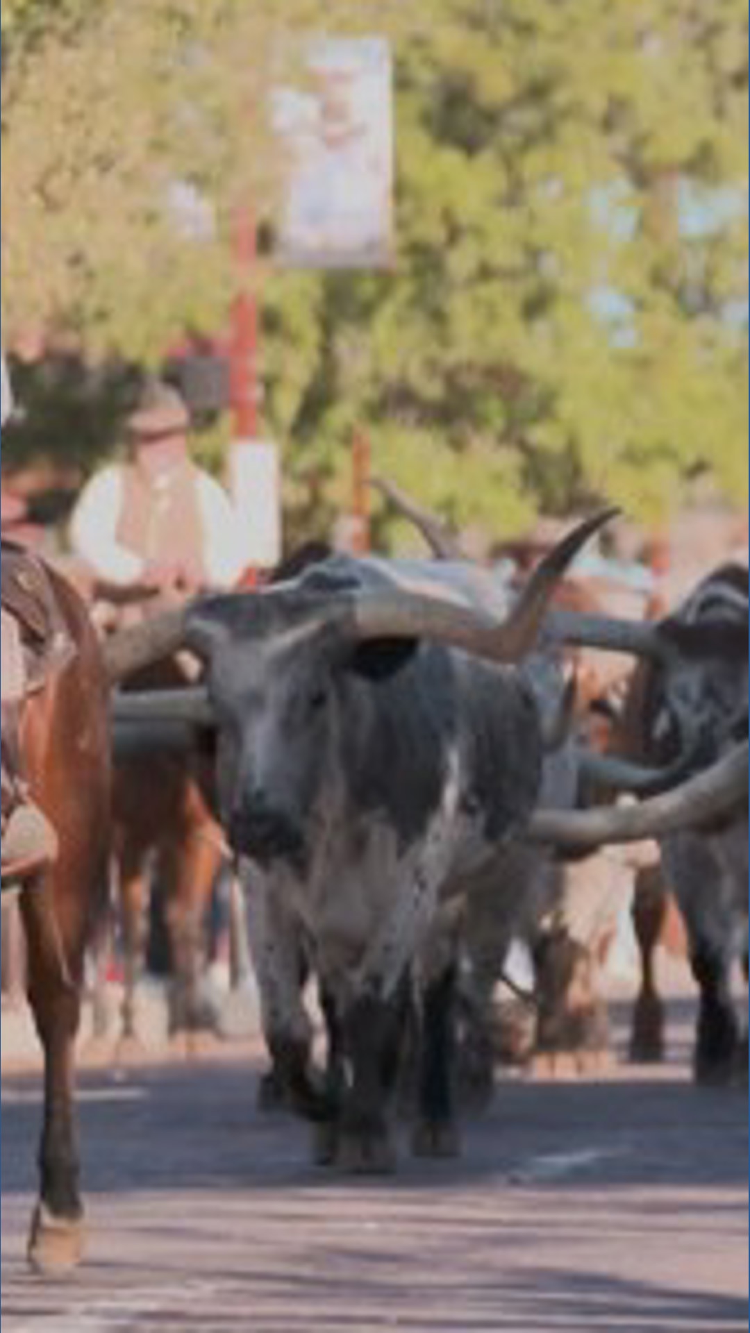 Stockyards Hotel, H3 Ranch to close for $30M renovation, marking next ...