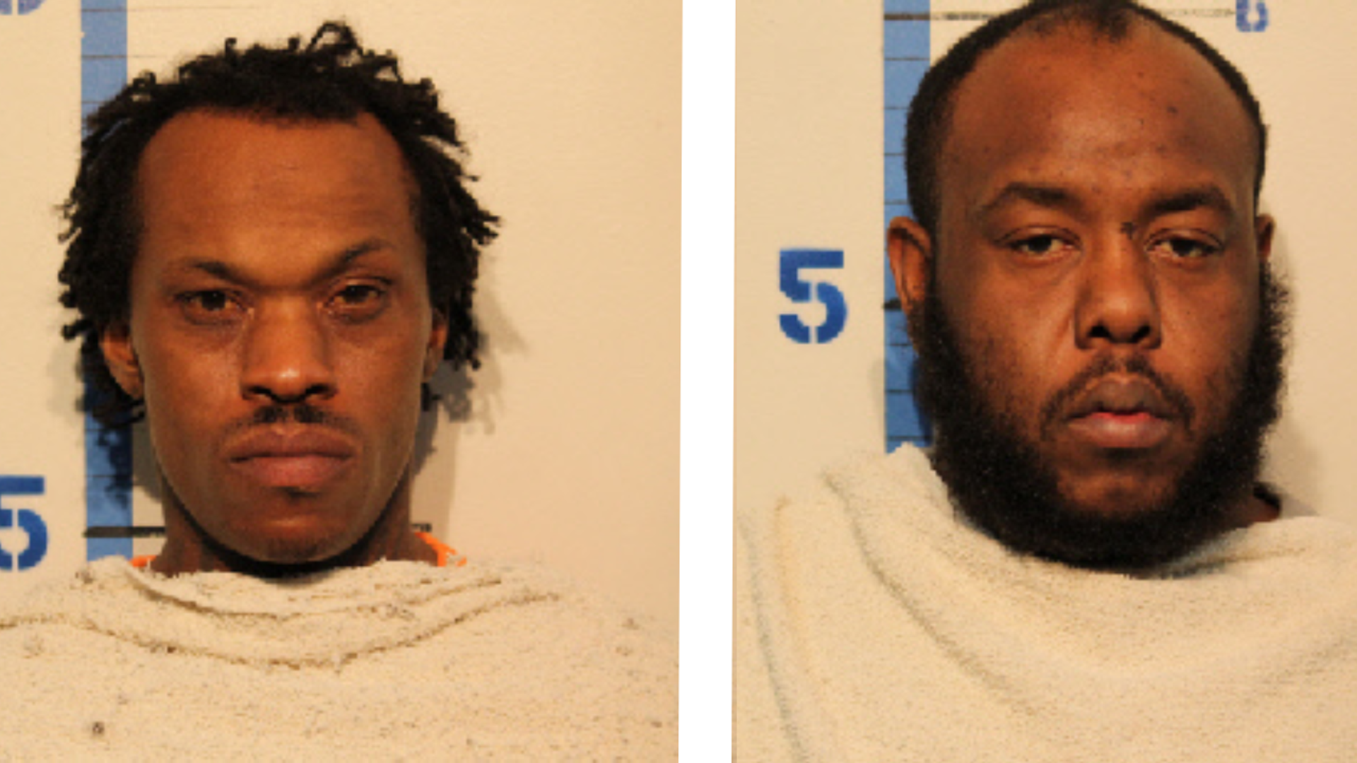2 arrested for allegedly stealing elderly woman's purse, knocking her ...