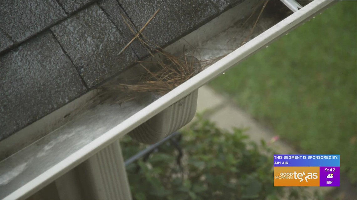 Heavy rains can cause plumbing problems