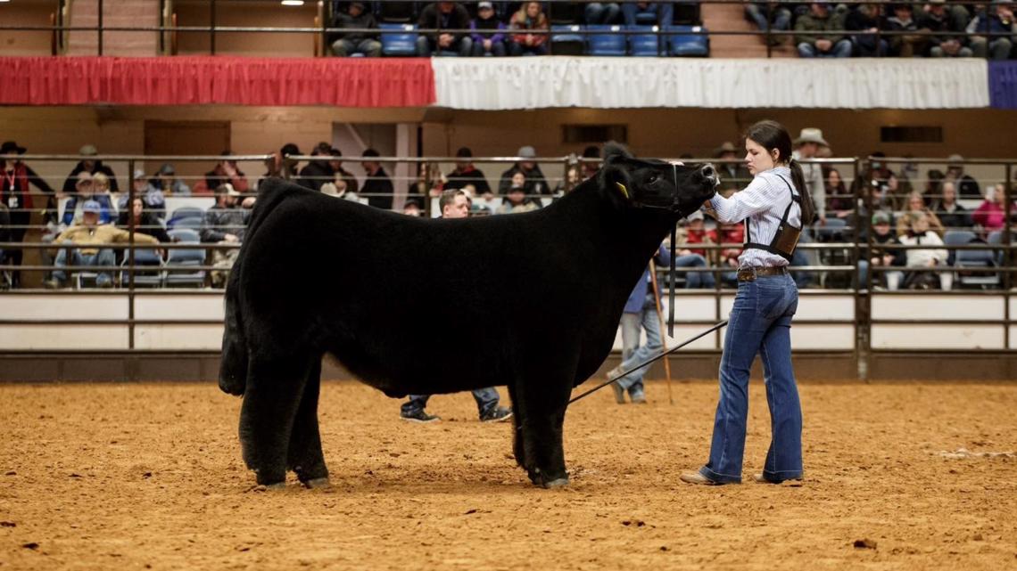'Snoop Dog' wins grand championship at Fort Worth Stock Show