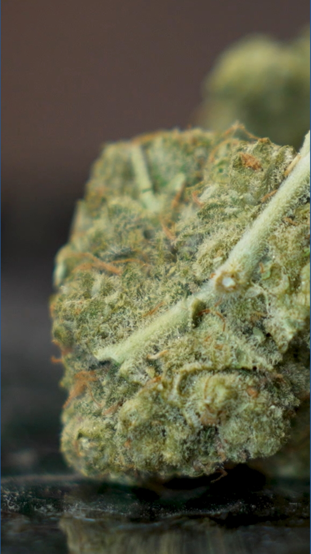 Gov. Abbott's decision on Texas THC ban looms | wfaa.com