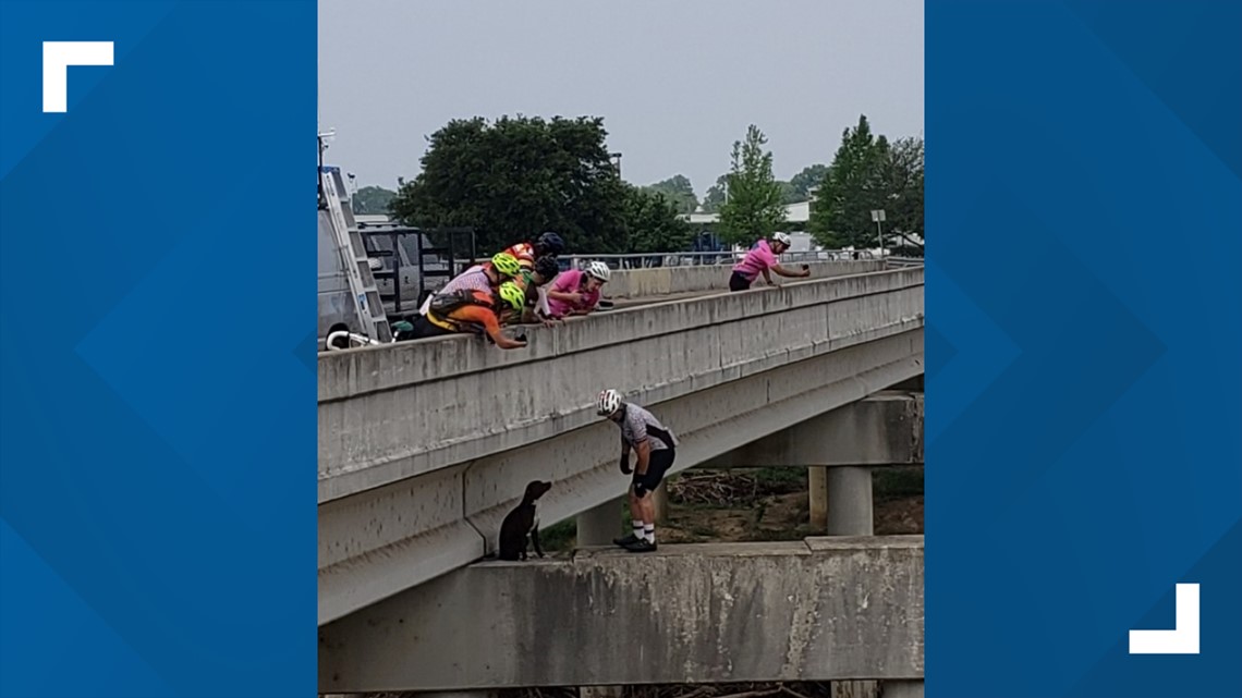 Fort Worth cyclists rescue dog stuck on a bridge