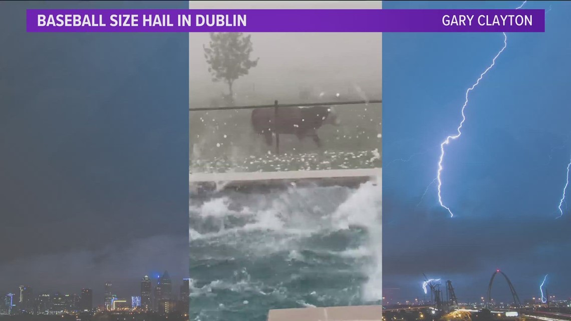 Bull escaping large hail in Dublin, Texas | wfaa.com