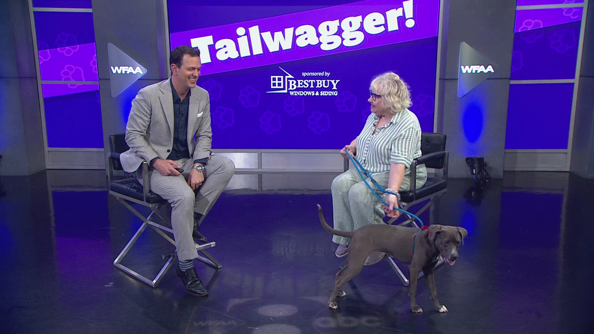 Leah is available for adoption through the SPCA of Texas.
