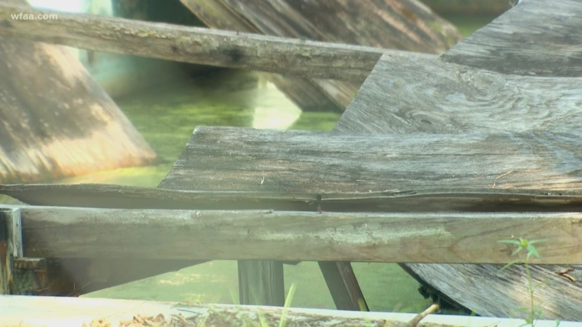 Neighbors in the Cedar Crest community fear an old pool filled with green and murky standing water has become a breeding ground for mosquitos.