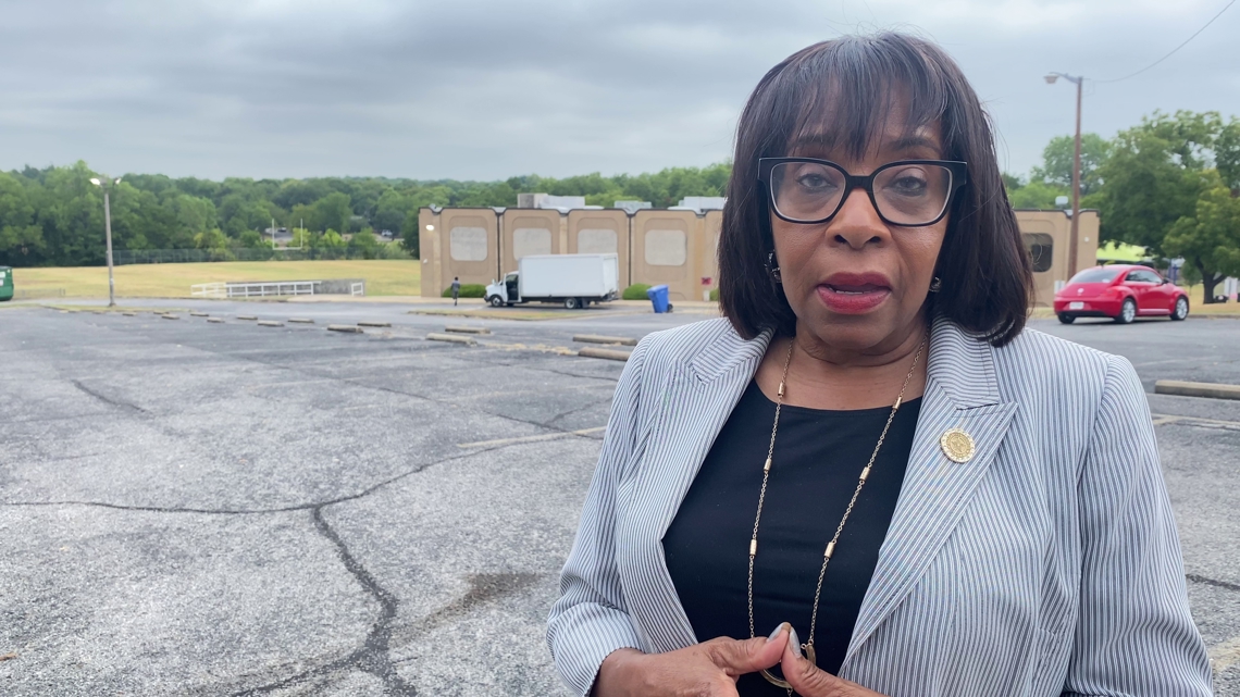 Carolyn King Arnold #39 s petition to get on May ballot denied by appeals Carolyn King Arnold #39 s petition to get on May ballot denied by appeals