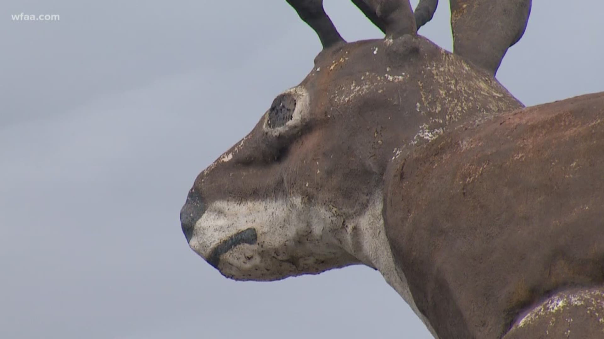 It is a mythical creature, but a giant jackalope sculpture has sparked a very real reaction in Fort Worth after there were fears the longtime landmark was to be taken down.