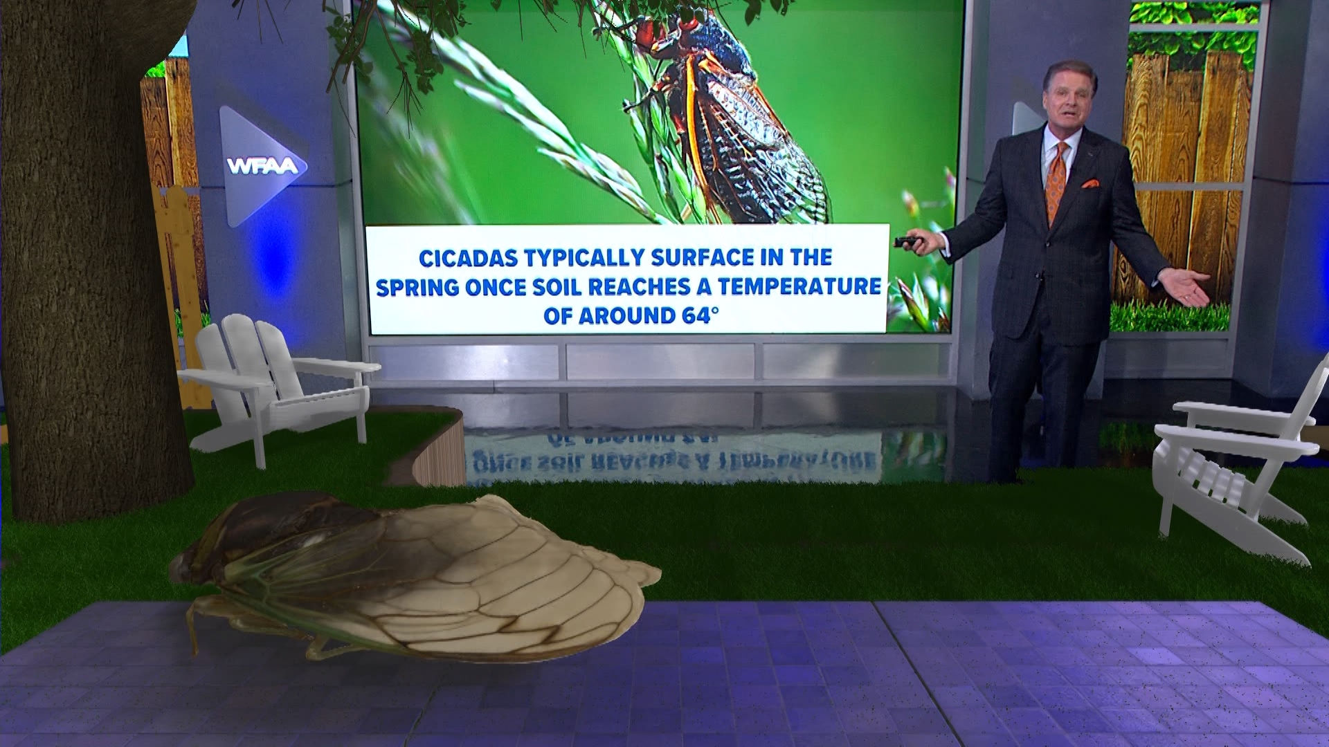 Cicadas from Brood XIV are set to swarm parts of the U.S.