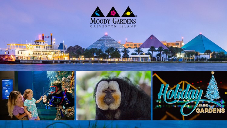 Enter to win a Moody Gardens Holiday Getaway