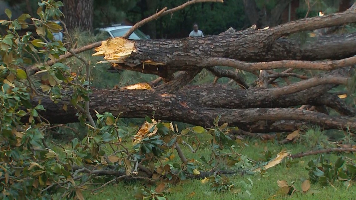 Tornadoes confirmed in Denton, Justin; flooding buckles road in Argyle ...