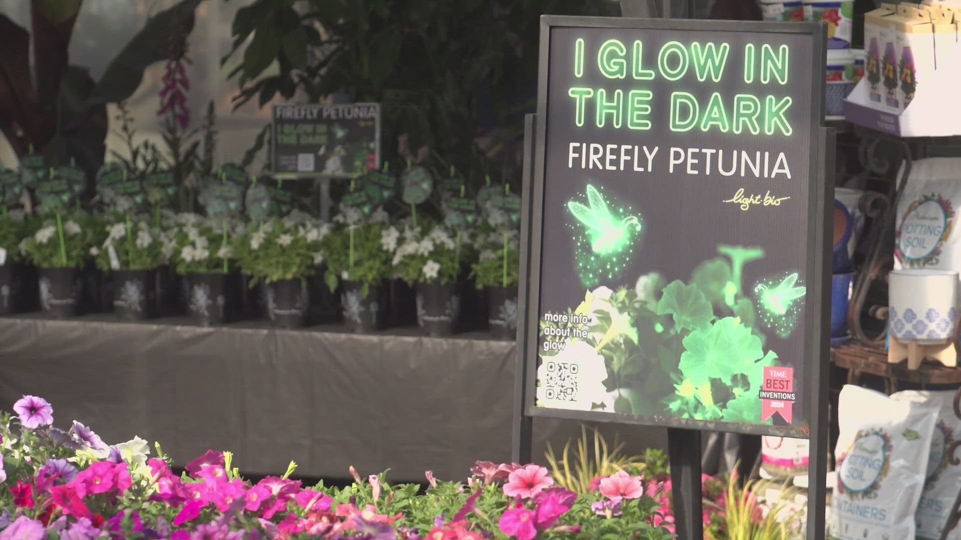 If you want to give your loved one something extra special, consider something that glows in the dark. 