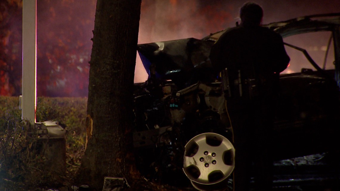 Texas driver dies after car crashes into tree, catches on fire | wfaa.com