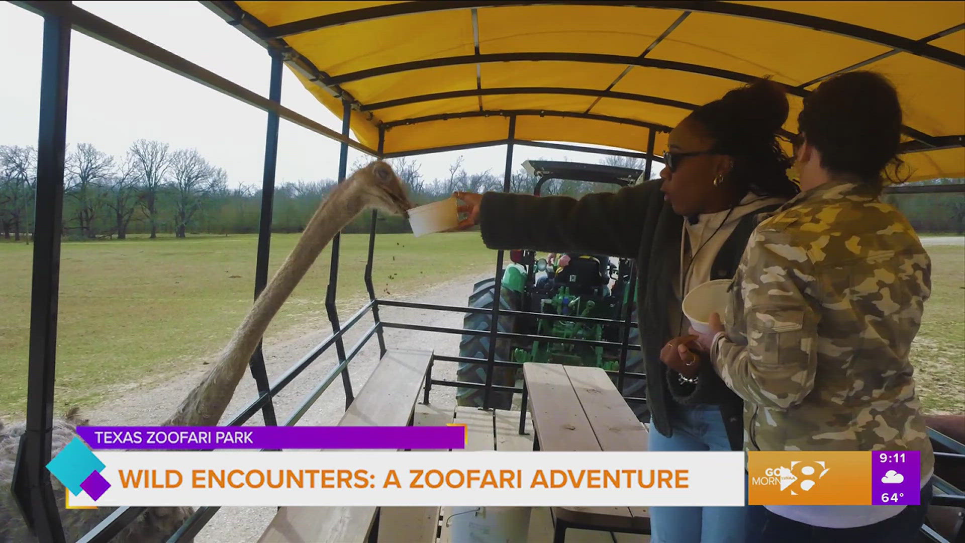Erin and Paige experience the drive thru safari at Texas Zoofari Park.