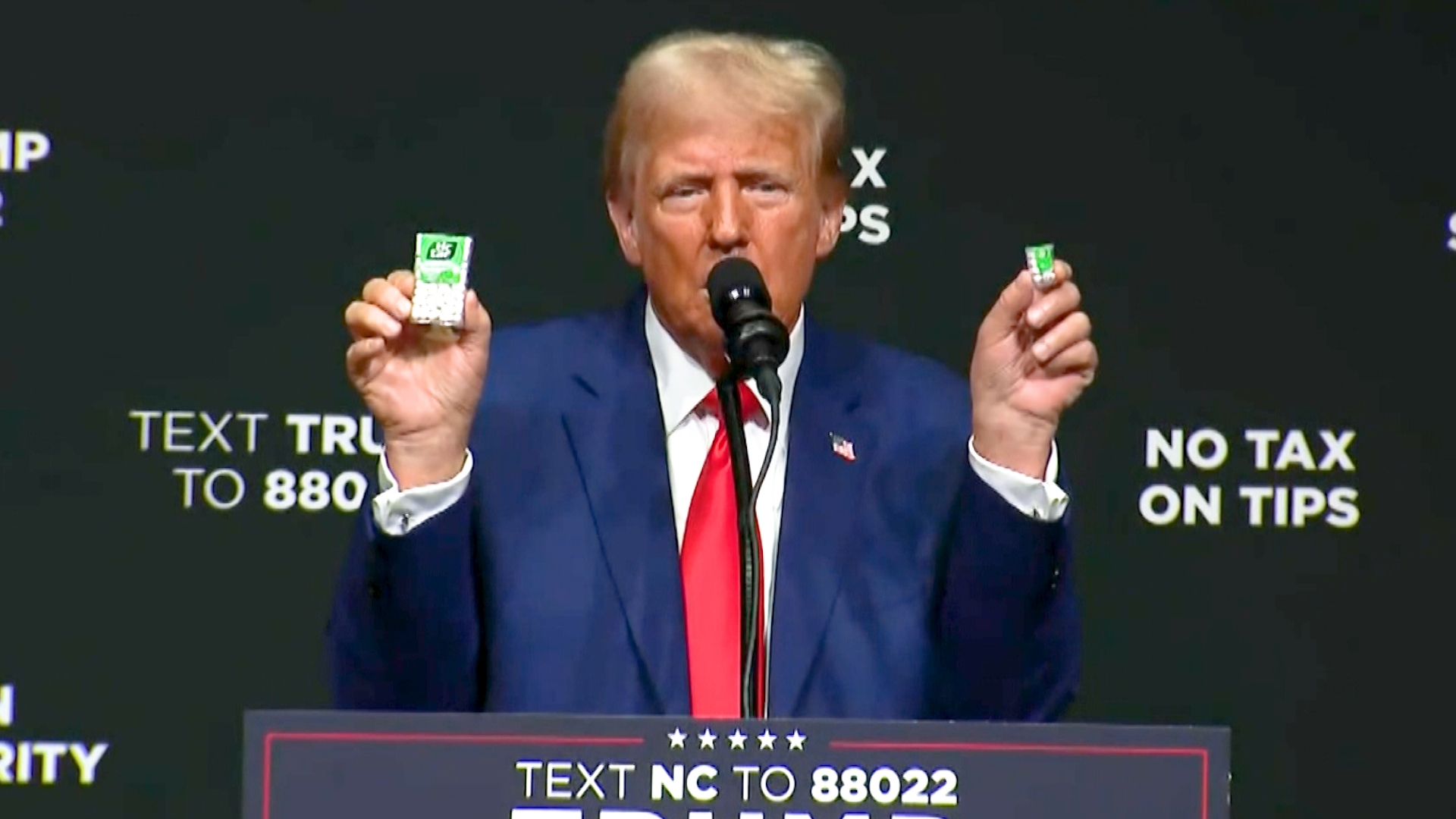 Donald Trump delivered remarks on the economy in Asheville, North Carolina, at a rally on August 14, 2024.