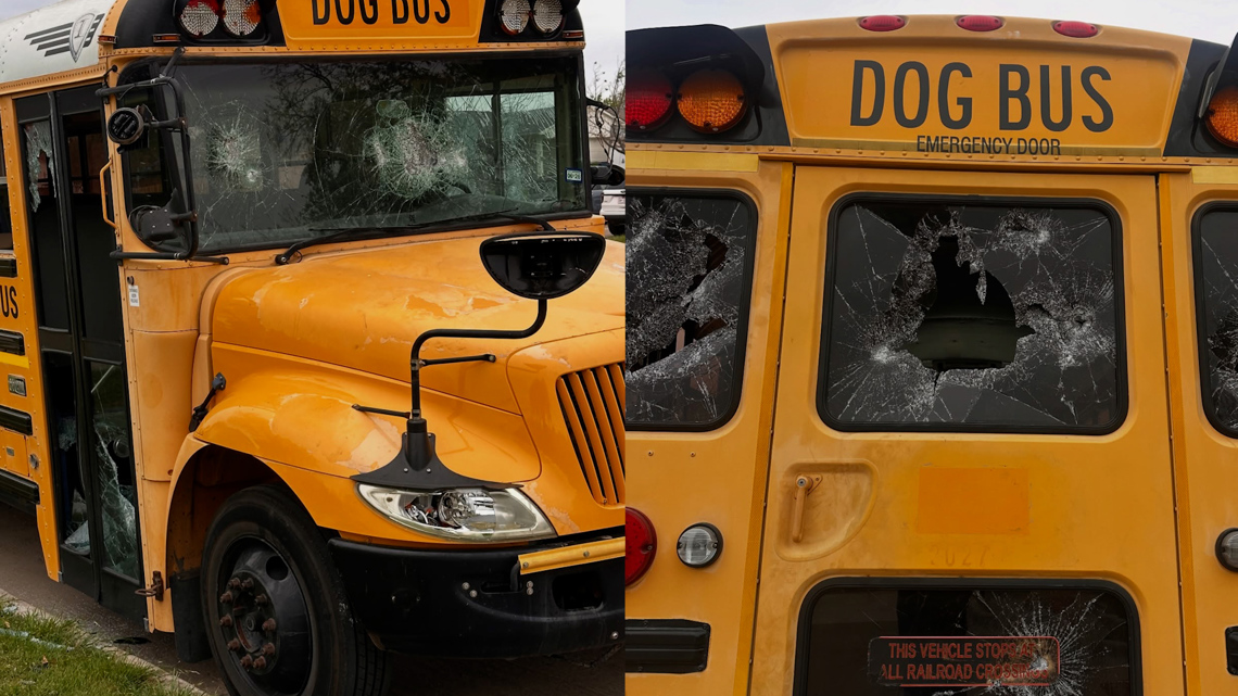 After 'doggy adventure bus' was vandalized, a community steps up to support its owner