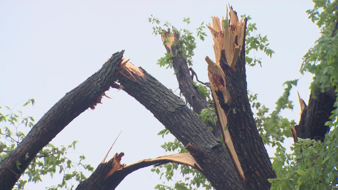 Dallas, Dallas ISD will open resource center for storm victims - Vimarsana News