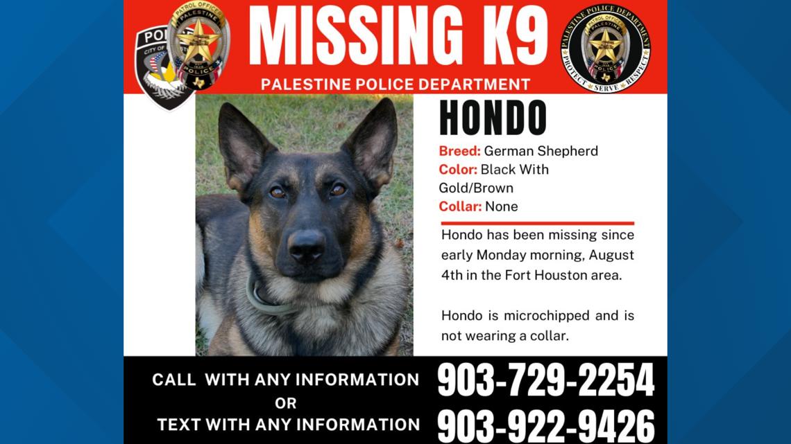 Palestine police continue search for missing K-9 | wfaa.com