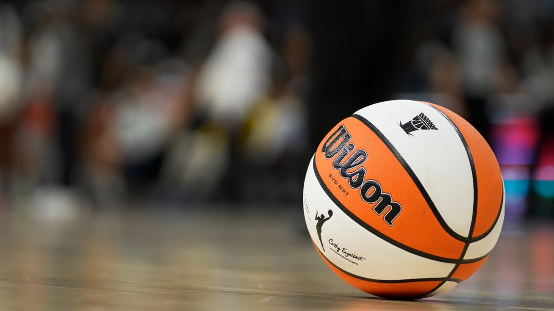 WNBA , player union agree to moratorium , halting initial stages of free agency