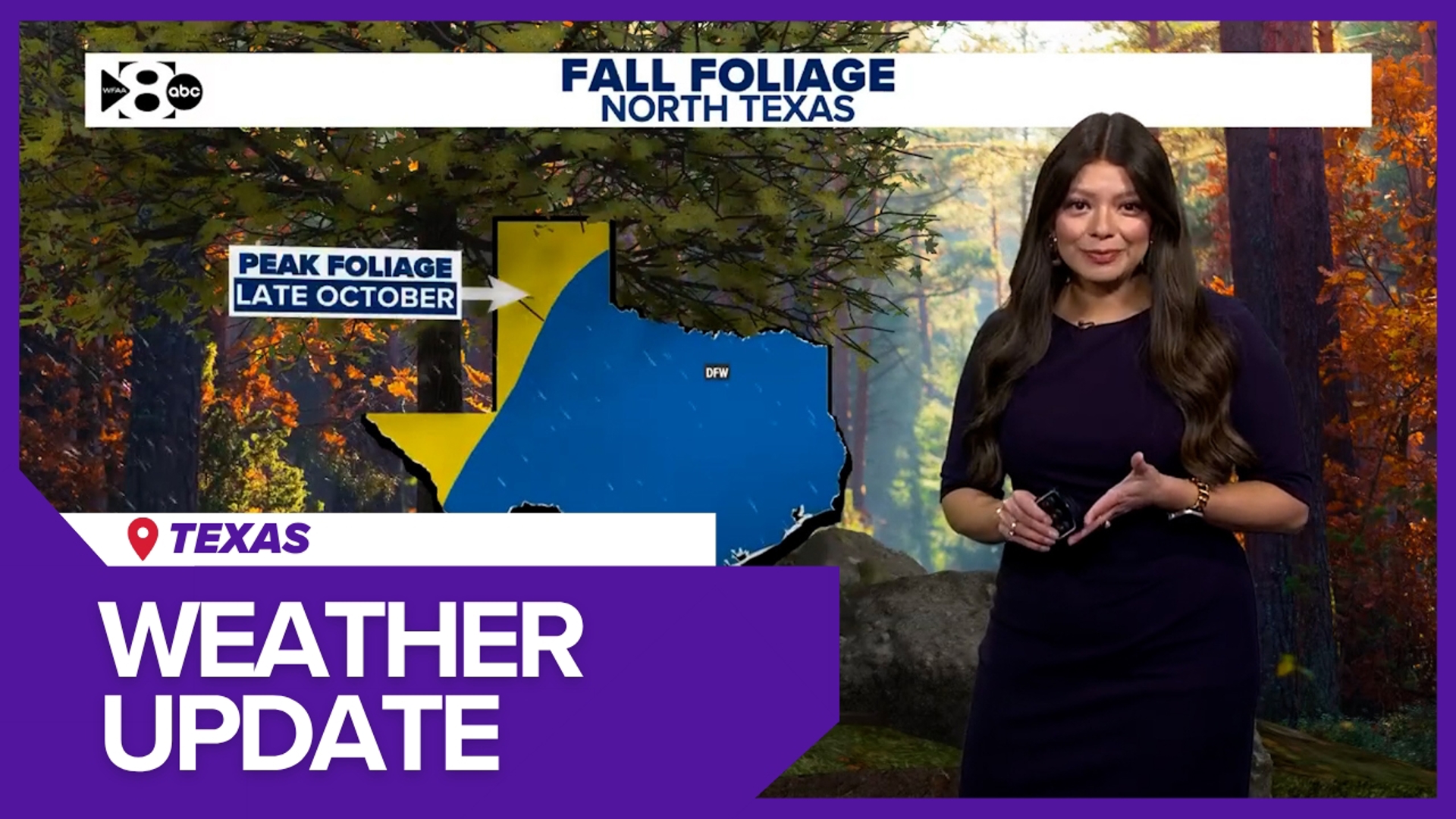 Texas weather update today Full forecast