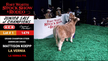 Fort Worth Stock Show Grand champion steer sells | wfaa.com