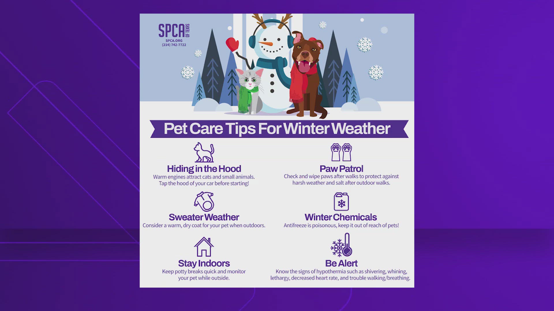 The SPCA of Texas has tips to keep pets safe during cold weather.