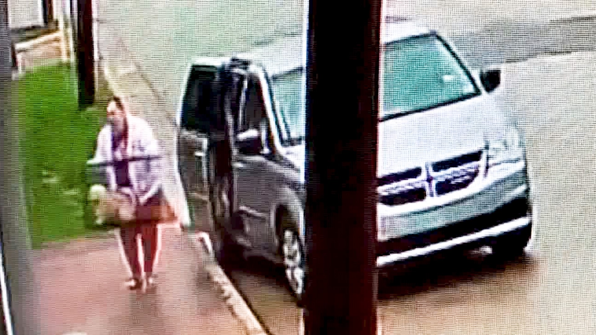 The Humane Society of North Texas shared a video Tuesday showing a woman leaving a dog on the sidewalk on a rainy day.