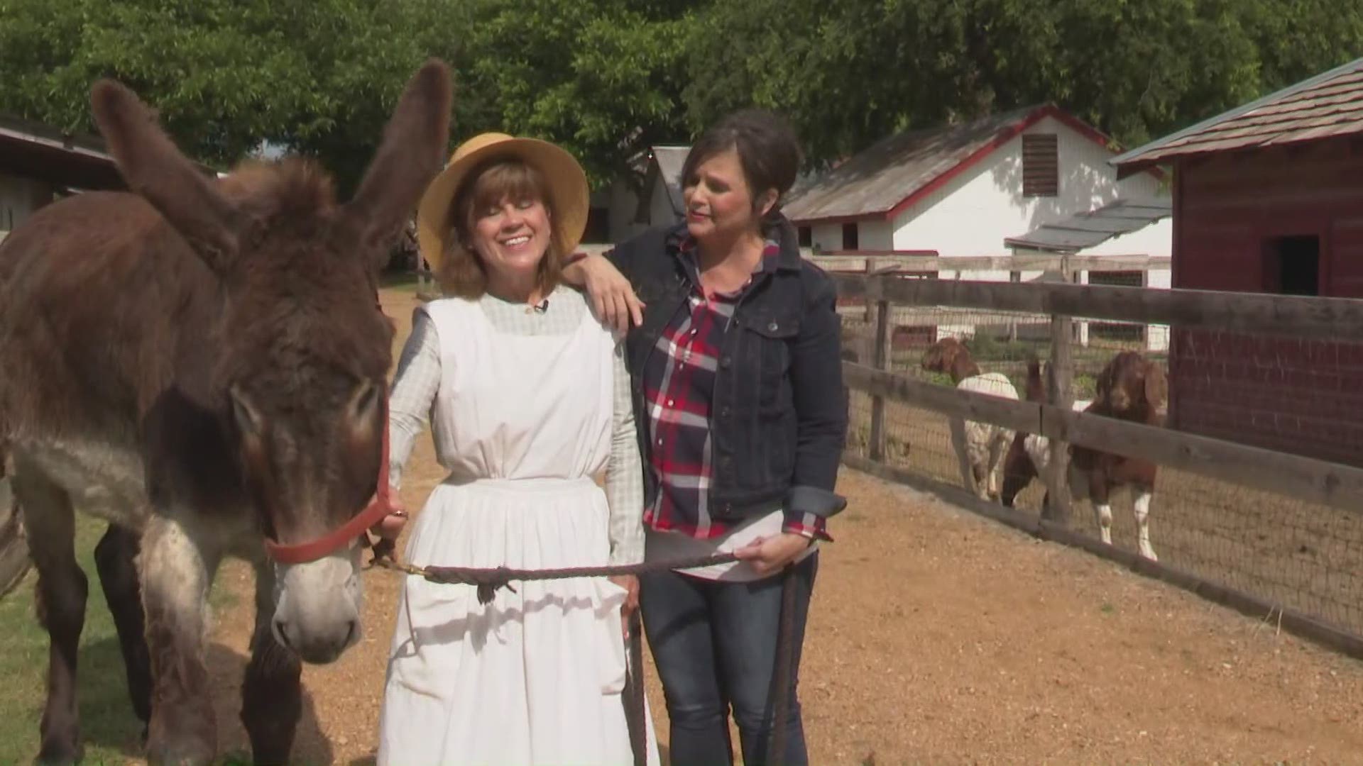 Meet Poncho, Otis, Smokey and the other barnyard animals at Plano's Heritage Farmstead Museum