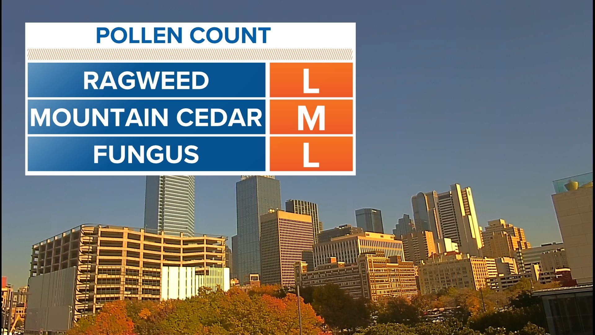 Dallas, Texas allergy forecast DFW pollen, ragweed count